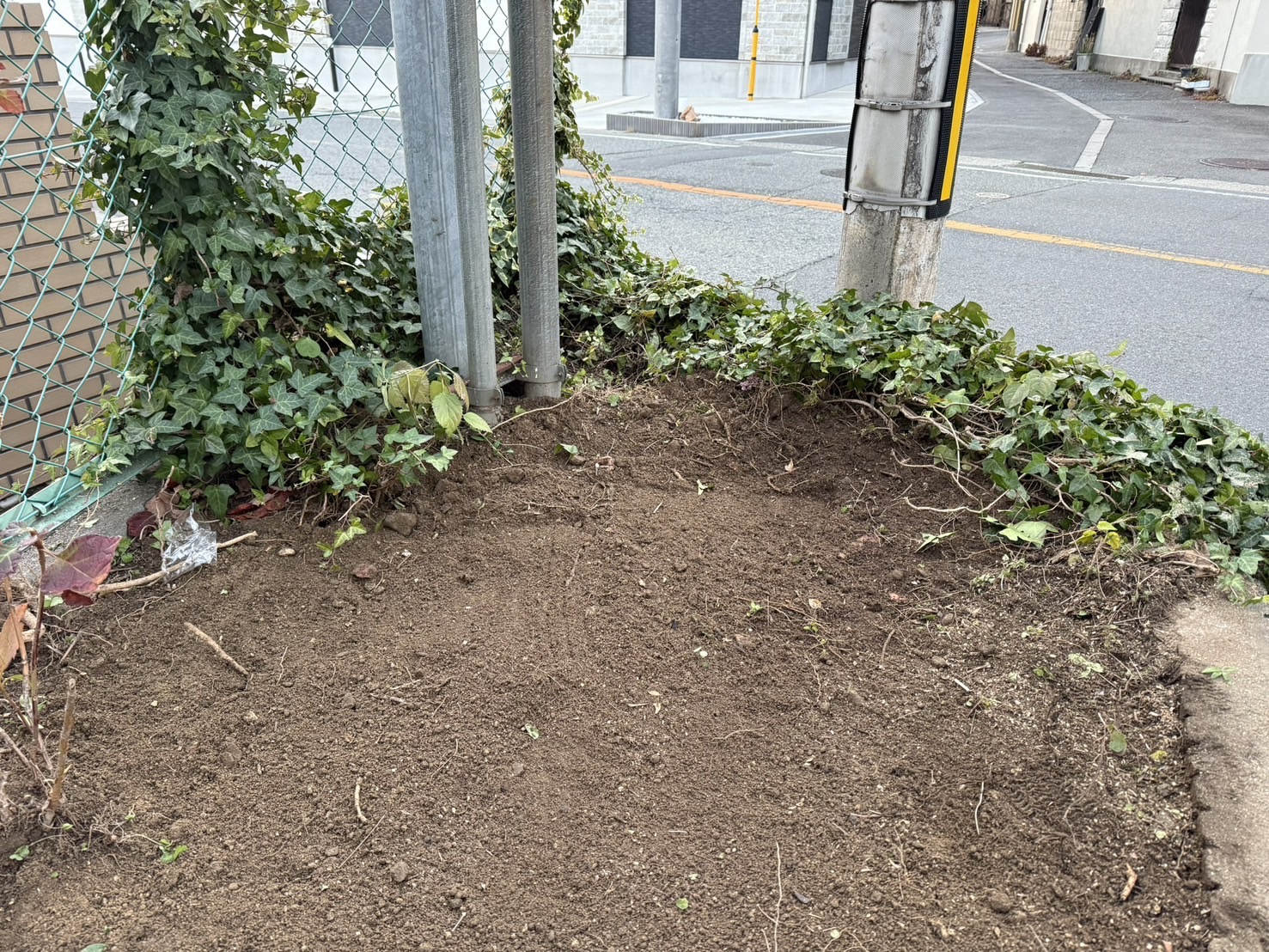 道路際の大木を抜根まで撤去 After